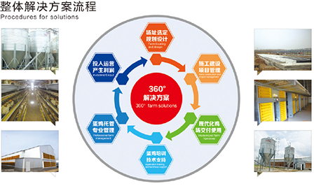 逐梦国际